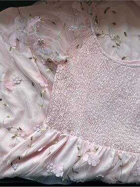 Delicate Light Pink Floral Embroidered Dress